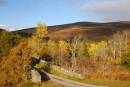 Bridge_over_Craggie_Burn_in_Autumn.jpg