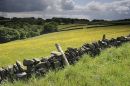 Buttercup-Hills-and-stormy-.jpg