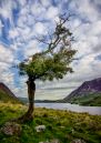 Crummock-1.jpg