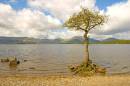 Loch_Lomond_1AB.jpg