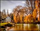 River_Thames_Lechlade_UK.jpg