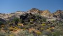 /gallery/data/2/thumbs/Snow_Canyon_ARC_0688_web1000.jpg