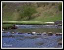 /gallery/data/2/thumbs/Stepping_stones_at_Dovedale_copy.jpg