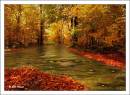 Autumn_Stream.jpg