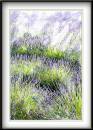 Lavender-water-colour.jpg