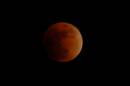 022008_Lunar_Eclipse_10.JPG