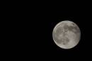 Blue_Moon_31_Dec_2009.jpg