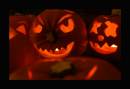 Night_of_the_scary_pumpkins_1.JPG