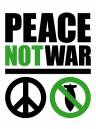 PeaceNotWarSmallLogo.jpg