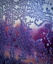 frost_on_car11_04_09.jpg