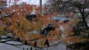 001_C_Rainy_Day_EDIT_-_WHITE_BALANCE_PERFECTLY_CLEAR-DEFAULT.jpg