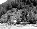 008_B_EDIT-ADJUST-BRIGHT_CONTRAST-HISTOGRAM_ADJUSTMENT.jpg
