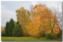 011107garden956_copy.jpg