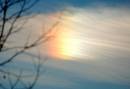011506lateafternoonsun1_a.jpg