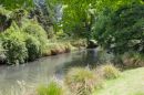07NZ_13-016.jpg