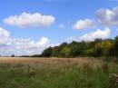 07_09_2010-036-800.jpg
