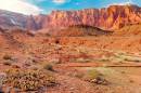 08_Cathedral_wash.jpg