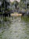 1662_1604_1570_1576_.JPG