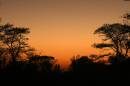 20090727_06064_dulverton_01.jpg
