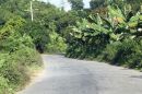 2010-11-12_010.JPG