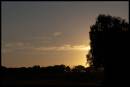 20100828_16722_mktdray_01.jpg
