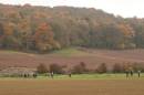 20101031_17619_cravenarms_09.jpg