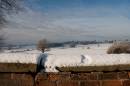 20101203_18550_mktdray_17.jpg