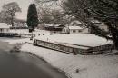 20101219_19025_cheswedine_15.jpg