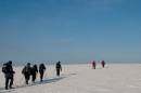 20101219_19030_cheswedine_19.jpg