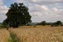 2011_08_05_06712_ellastone_01.jpg