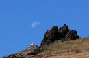 2011_08_21_07394_caercaradoc_02.jpg