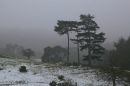 2012_02_12_11867_alton_02.jpg