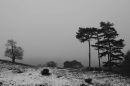 2012_02_12_11868_alton_03.jpg