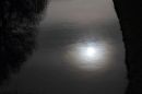 2012_02_16_11874_cheswardine_02.jpg