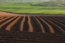 29_May_2009_Ploughed_Field_near_causeway.jpg