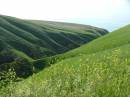 327_Sellicks_Valley.JPG