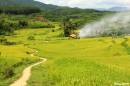 5241_dtk_muavang_img_0060_9813.jpg
