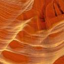 562_12x12_1a_web.jpg