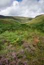 6BK0114_Summer_moors_Crowden.jpg