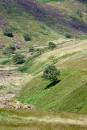 6BK0126_In_Crowden_Clough.jpg