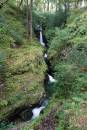 6BK0807_Poulanass_falls_glendalough.jpg