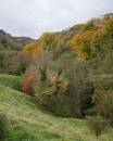 6BK0996_Cheedale_autumn_colours.jpg