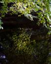 6BK1042_on_reflection.jpg