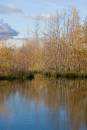 6BK1167_blue_and_gold_old_moor.jpg