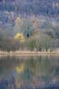 6BK1237_end_of_autumn_strandshag_bay.jpg