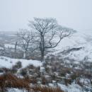 6BK2085_in_the_blizzard_woodhead.jpg