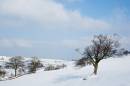 6BK2099_hartcliffe_hill_in_snow.jpg