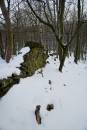 6BK2138_winterwall.jpg