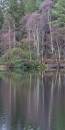 6BK2202_reflected_birches_glen_coe_lochan.jpg
