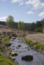 6BK3091_spring_on_the_river_porter.jpg
